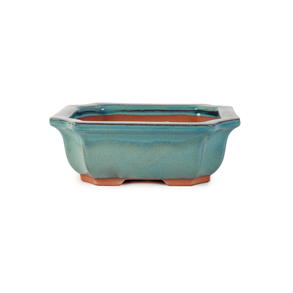 Assorted Glazed Bonsai Pots, 7" -  Green-rectangular 16 x 14 x 6cm - Pots