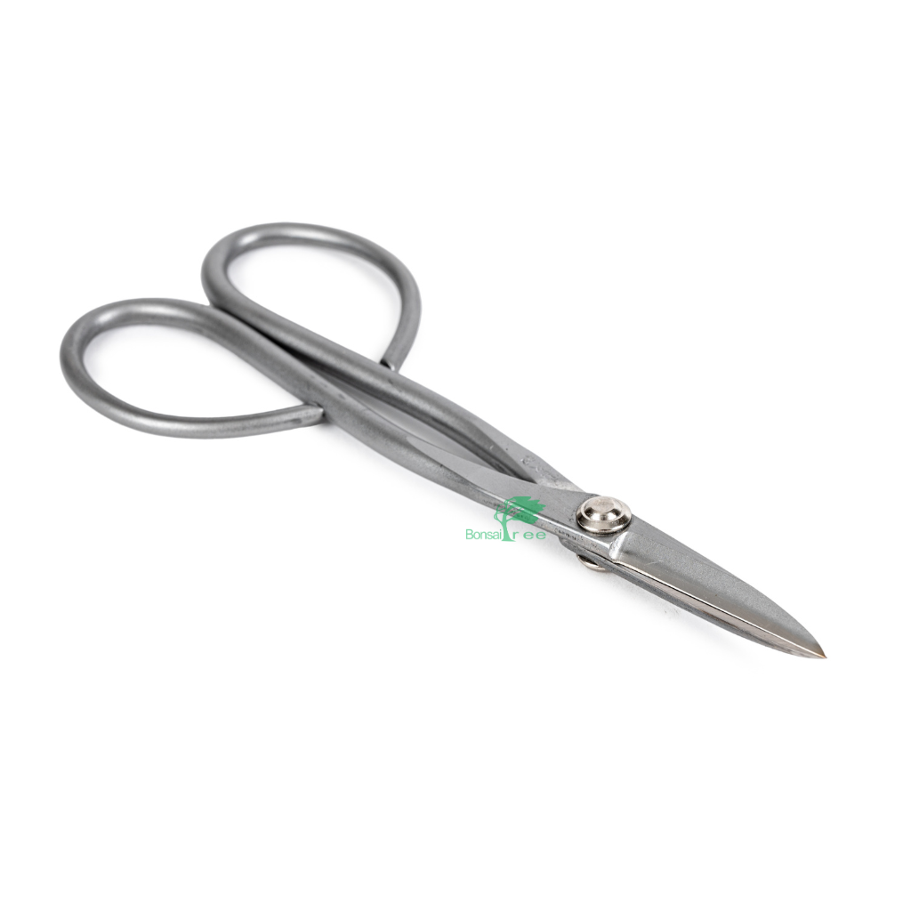 Stainless Steel Trimming Scissors, 180mm -   - Tools