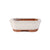 Assorted Glazed Bonsai Pots, 7" -  Ivory Rectangular 17 x 13 x 6cm - Pots