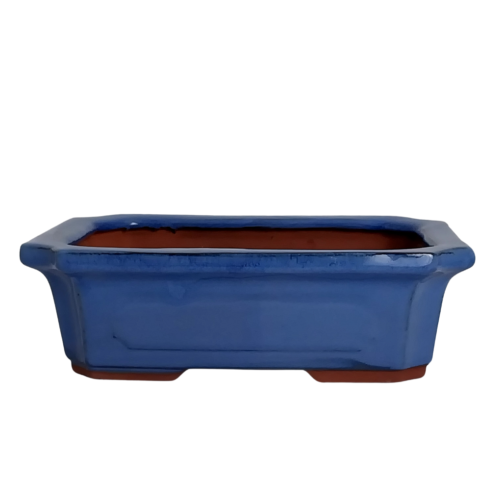 Assorted Glazed Bonsai Pots, 10" -  Blue Rectangle with pannels, 25 x 18 x 8cm - Pots