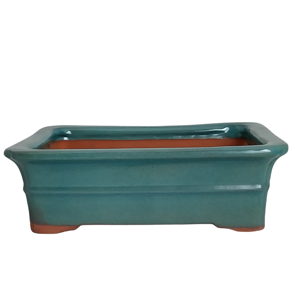 Assorted Glazed Bonsai Pots, 10" -  Green Banded Rectangle, 26 x 20 x 8cm - Pots