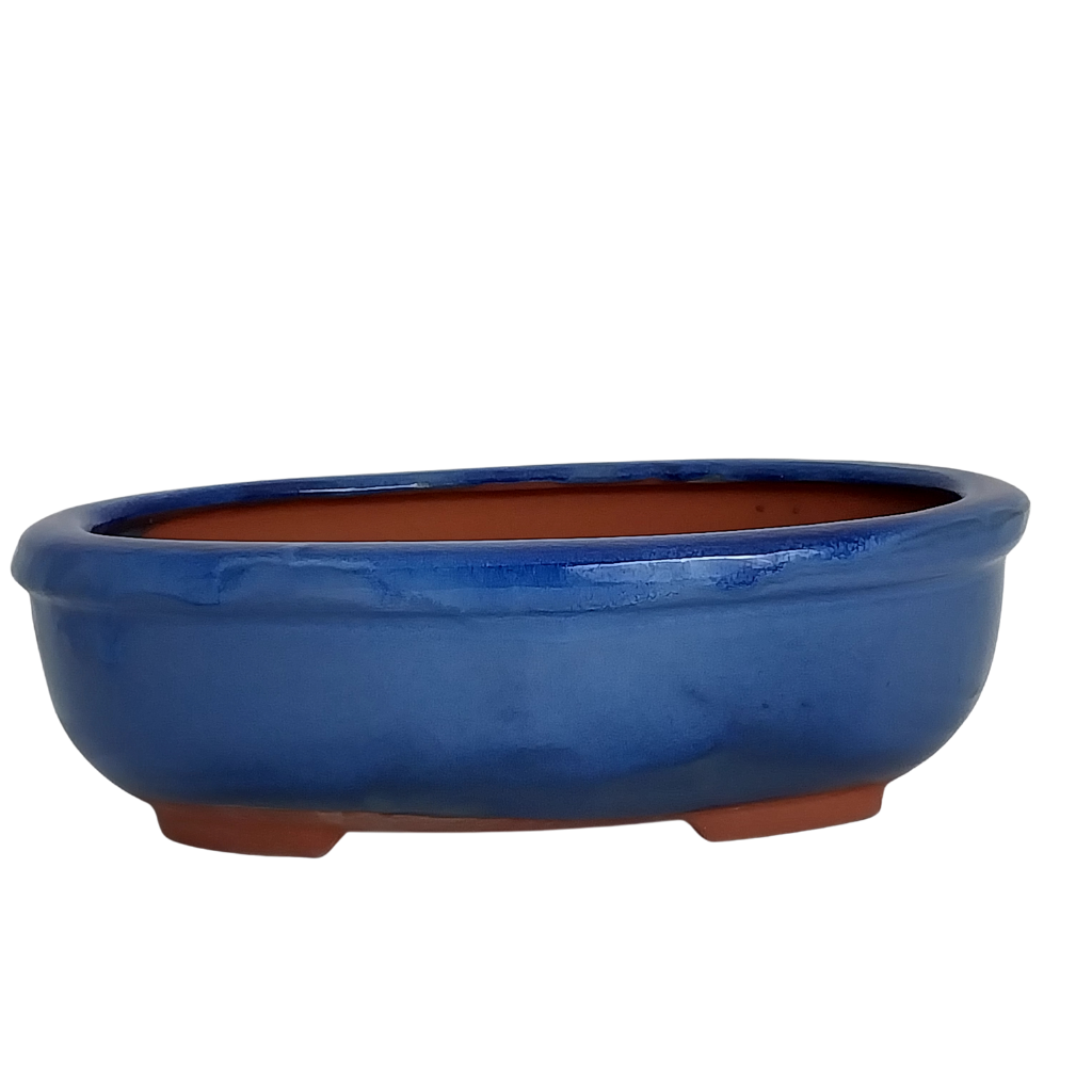 Assorted Glazed Bonsai Pots, 12" -  Blue Oval, 30 x 22 x 9cm - Pots