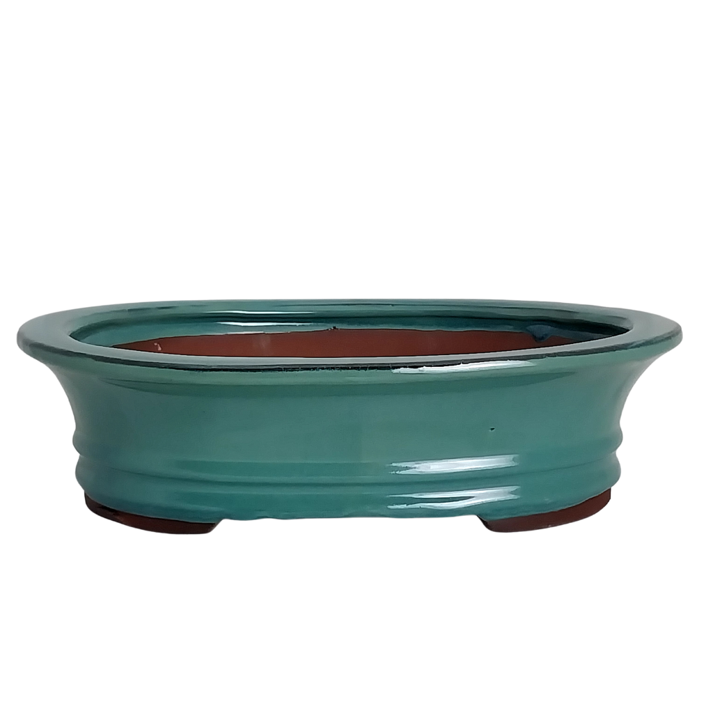 Assorted Glazed Bonsai Pots, 12" -  Green Oval with Lip, 30 x 23 x 8cm - Pots