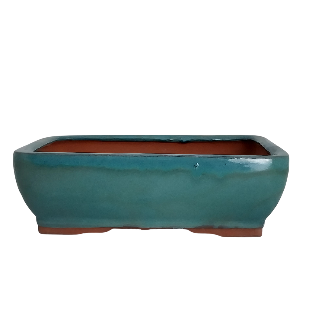 Assorted Glazed Bonsai Pots, 12" -  Green Rectangle, 29 x 23 x 9cm - Pots