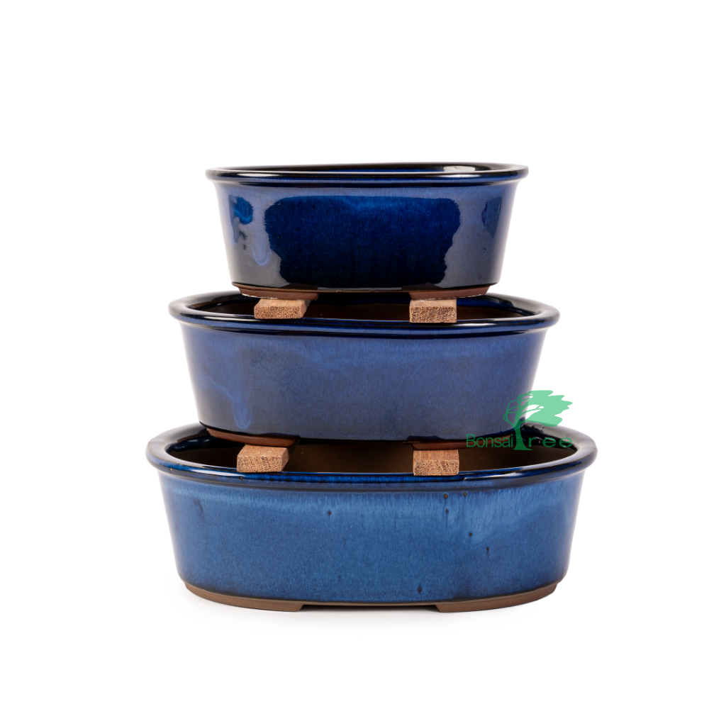 Japanese Ruri Glazed, Deep Oval Containers -   - Pots