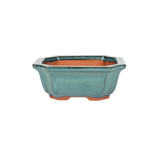 Assorted Glazed Bonsai Pots, 5" -  Green Rectangle with Decorative, 13 x 11 x 6cm - Pots