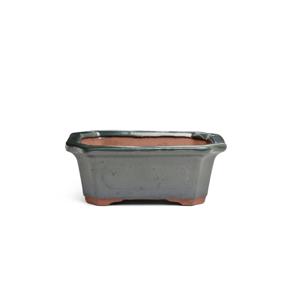 Assorted Glazed Bonsai Pots, 7" - - Pots