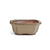 Assorted Glazed Bonsai Pots, 7" -  Mustard-rectangular 16 x 14 x 6cm - Pots