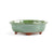 Assorted Glazed Bonsai Pots, 8" (Copy) - - Pots