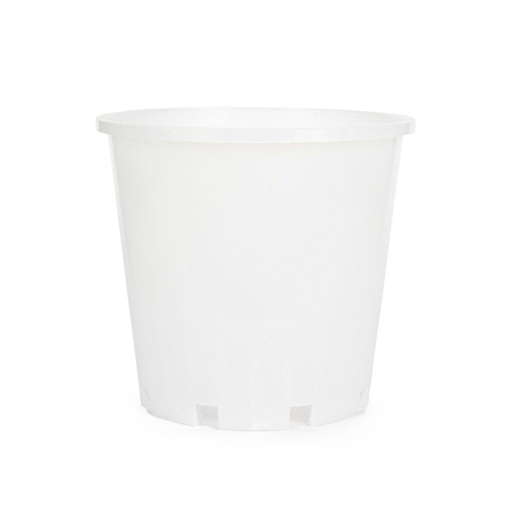 Orchid Plastic Pot, Clear, Large,18cm. -  LARGE,18cm (Top dia), 14cm (Bottom dia), 17cm (Height), 2400ml , Single (1pc). Slotted holes on the side. - Plastics