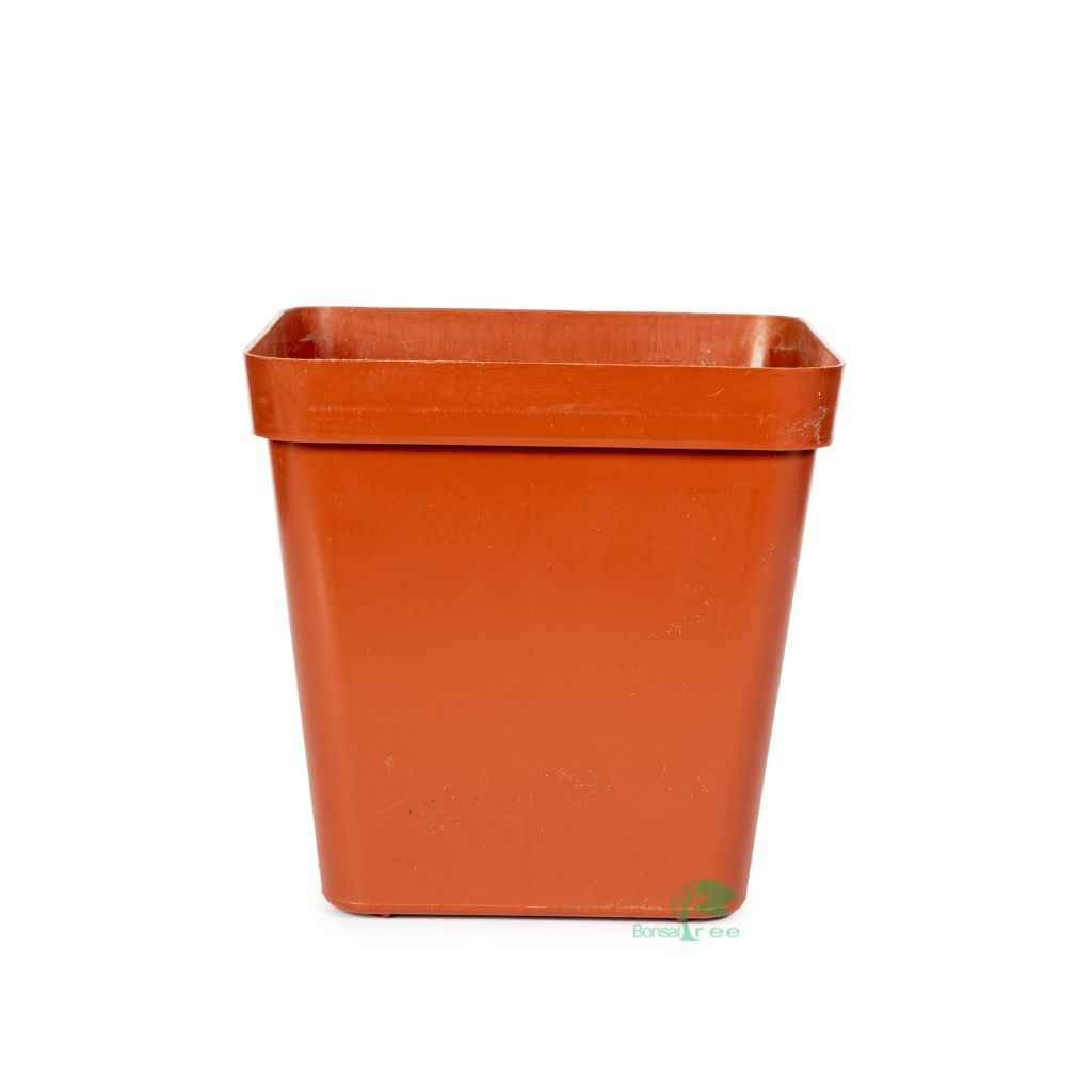 Square Plastic Pot, Terracotta, 12cm -  1Pc. Single container. - Plastics