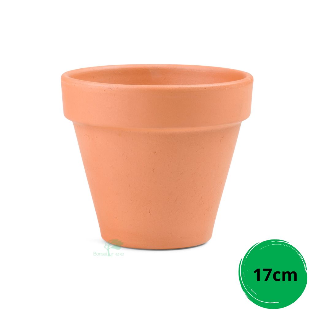 Deroma &quot;Standard&quot; pot, 17cm. -  1Pc Deroma Standard 17cm (W) x15cm (H). 1.5L capacity. Fits 15cm tray (87151) - Pots