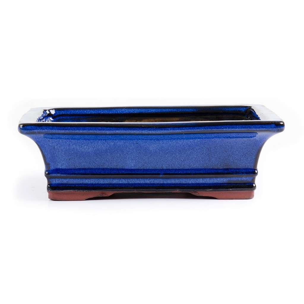 Assorted Glazed Bonsai Pots, 10" -  Blue Rectangle, 25 x 19 x 8cm - Pots