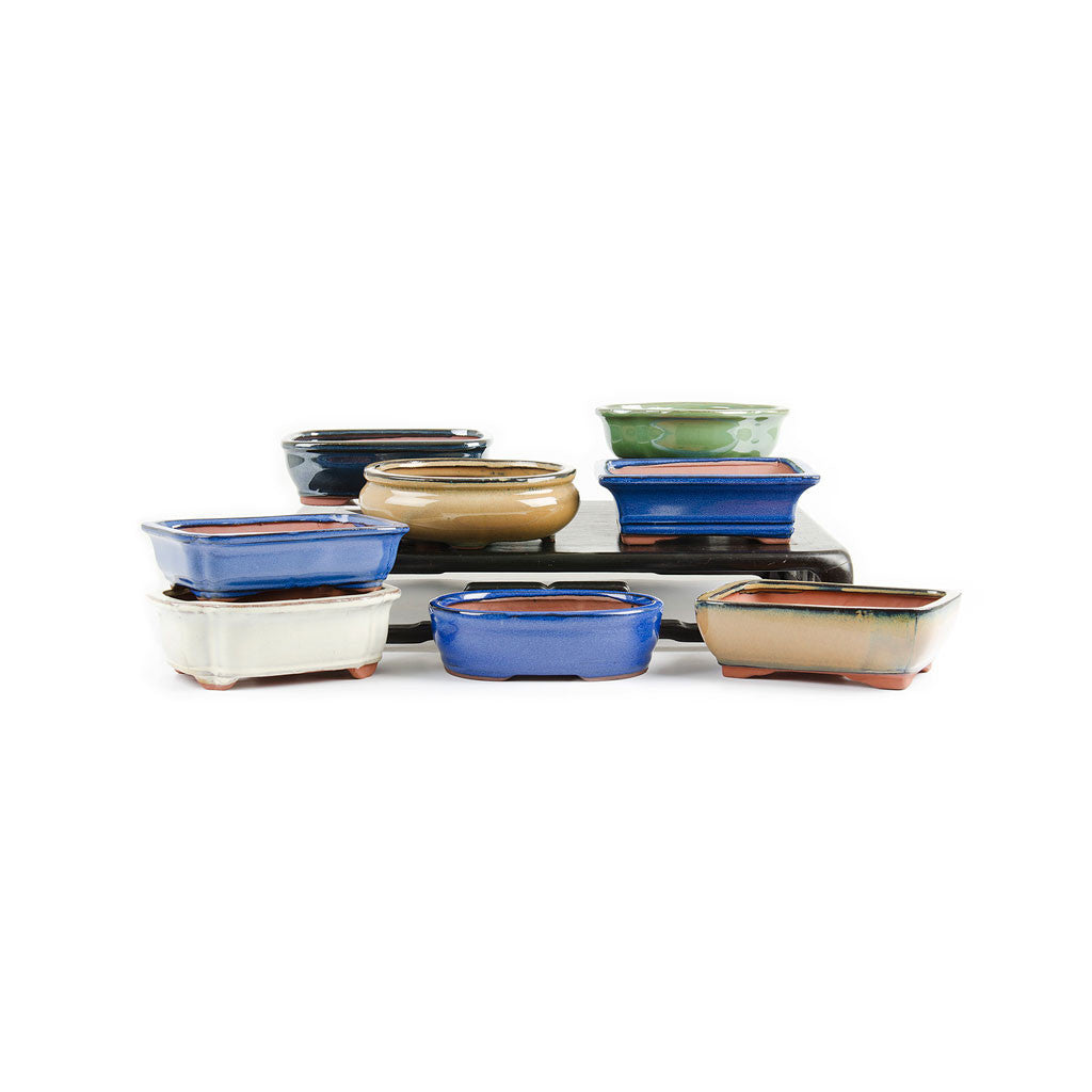 Assorted Glazed Bonsai Pots, 7&quot; -   - Pots