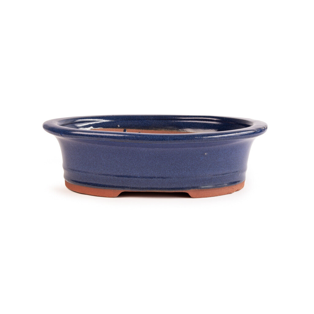 Assorted Glazed Bonsai Pots, 12" - Blue Oval with Lip, 30 x 24 x 8cm - Pots