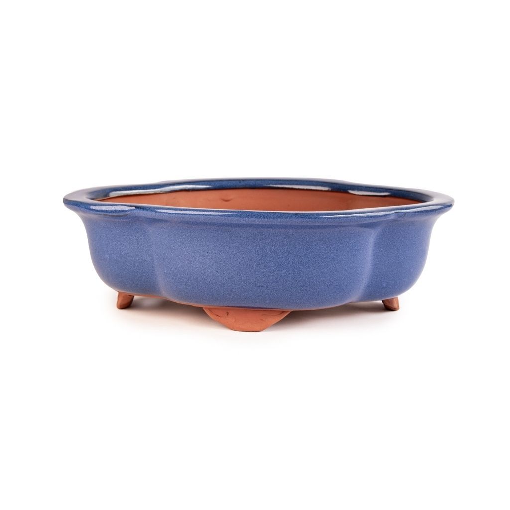 Assorted Glazed Bonsai Pots, 12" - Blue Rectangle, 30 x24 x 8.5cm - Pots