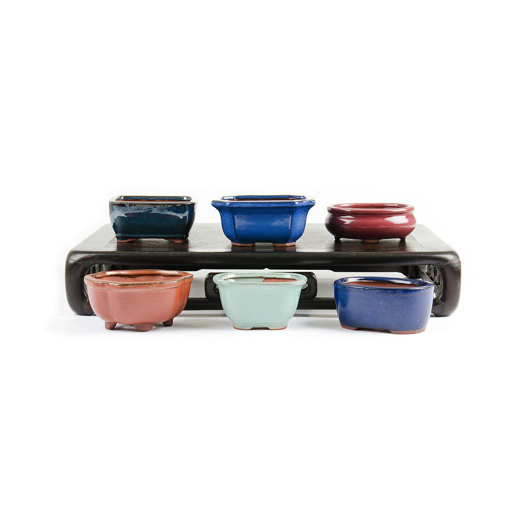 Assorted Glazed Bonsai Pots, 5&quot; -   - Pots