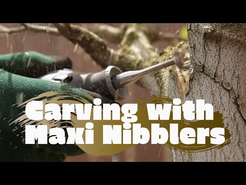 Bonsai Nibbler, R-maxi - - Carving Bits