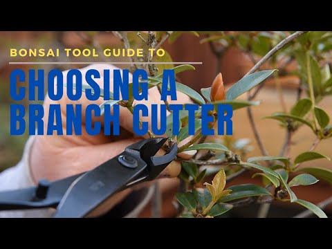 Bonsai Branch cutter, 17.5cm - - Tools