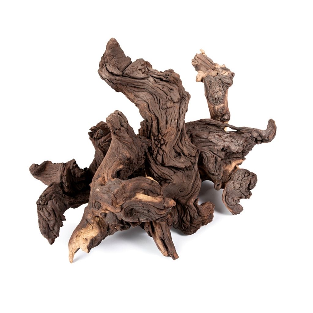 Mopane root, Large, 400 - 700g. -   - Substrates