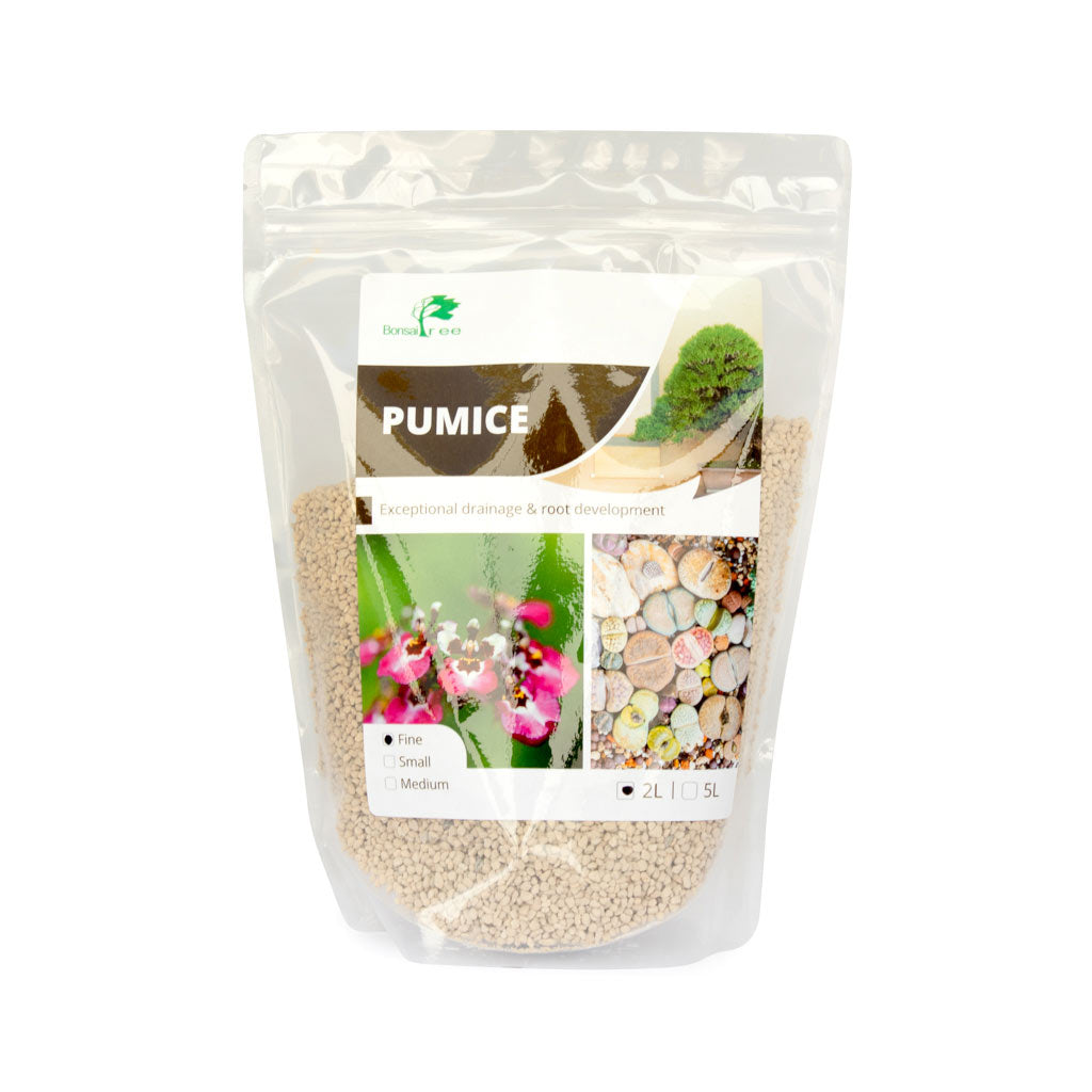 Japanese Pumice (Hyuga), Fine, 1-3mm -  2L bag - Growing Mediums